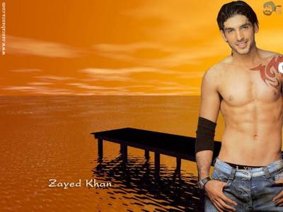 zayed khan ou wé ton tréco