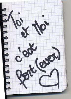 un amour passioni