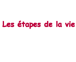 c la vie