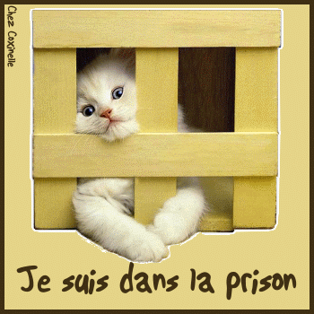 c ma vie
