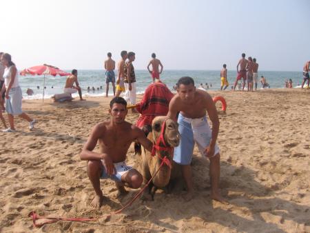 abdlhalim avec zakaria